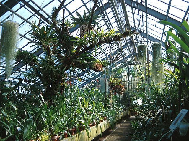 Botanischer Garten Heidelberg